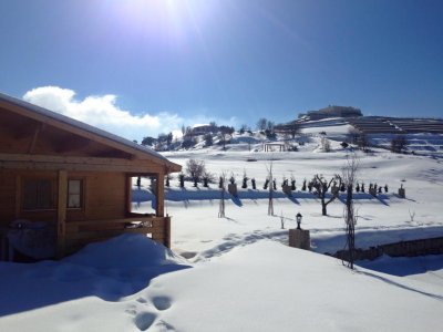 shoppingcart-thumb-image